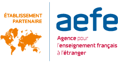 EFE3D logo